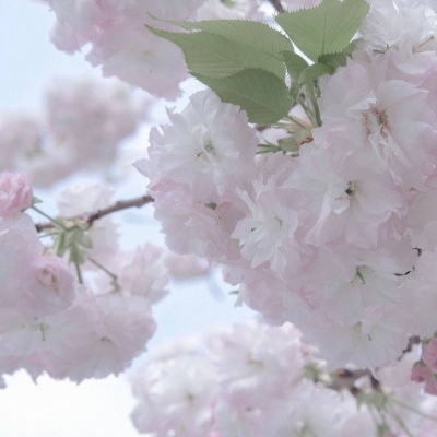 兽设细节刻画技巧FurryQQ群